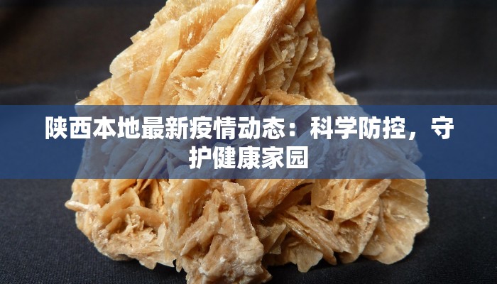 江苏淹城疫情最新消息：科学防控，守护健康家园