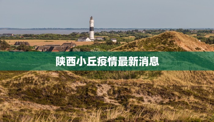 陕西小丘疫情最新消息