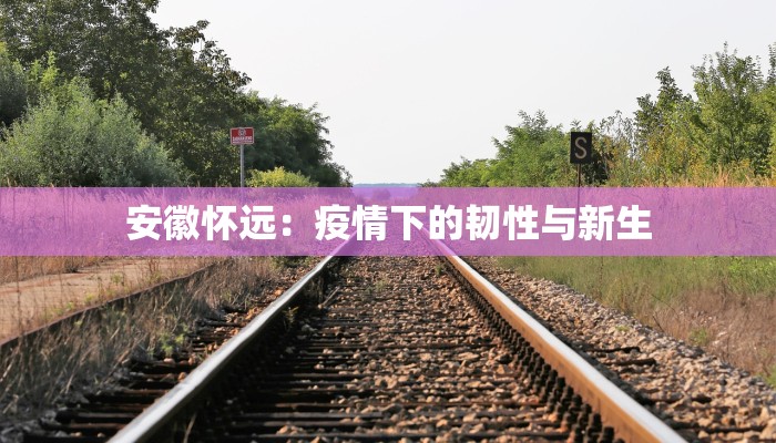 安徽怀远：疫情下的韧性与新生