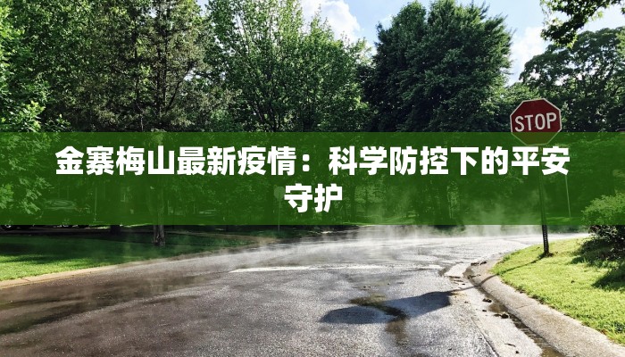 金寨梅山最新疫情：科学防控下的平安守护