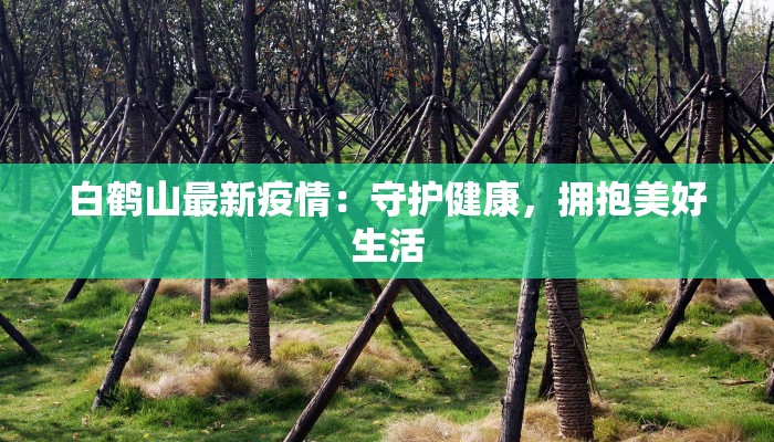 白鹤山最新疫情：守护健康，拥抱美好生活