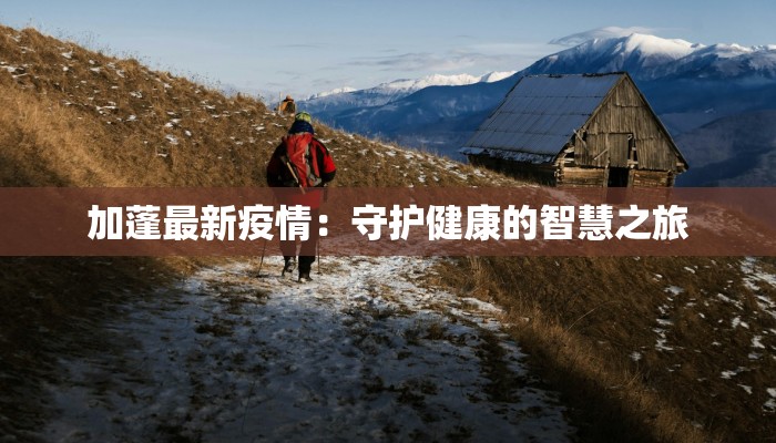 日料团购景德镇店：鲜美日式风味，一键团购享不停