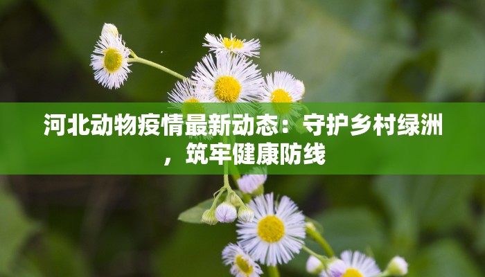 贾汪区疫情最新通告