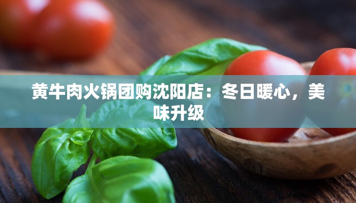 黄牛肉火锅团购沈阳店：冬日暖心，美味升级