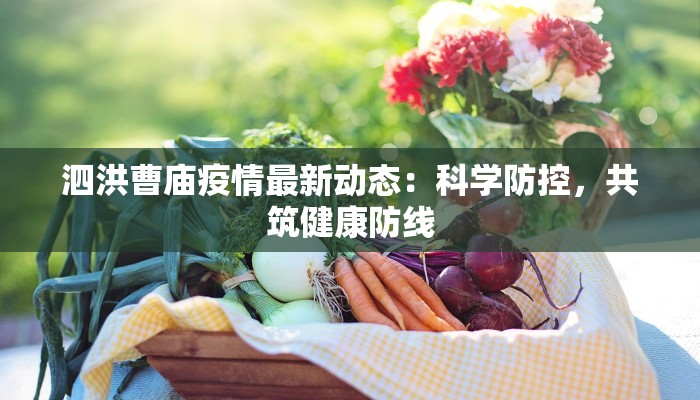 泗洪曹庙疫情最新动态：科学防控，共筑健康防线
