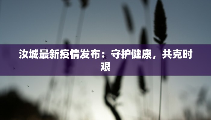 汝城最新疫情发布：守护健康，共克时艰