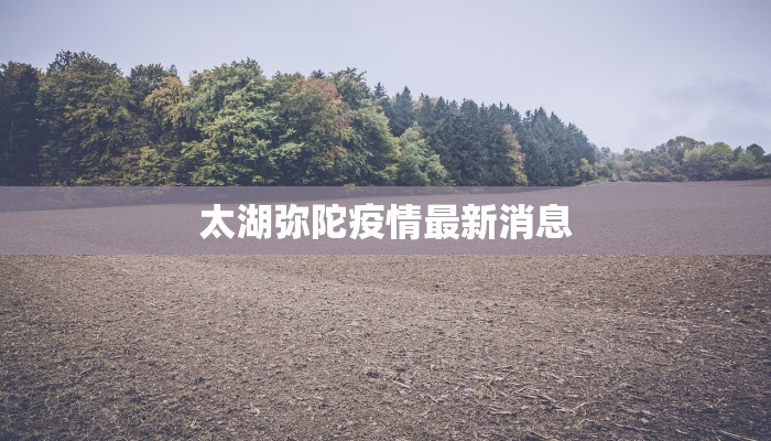 太湖弥陀疫情最新消息