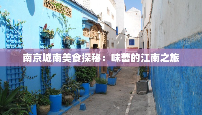 南京城南美食探秘：味蕾的江南之旅