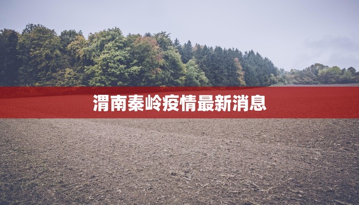 平遥疫情评述最新