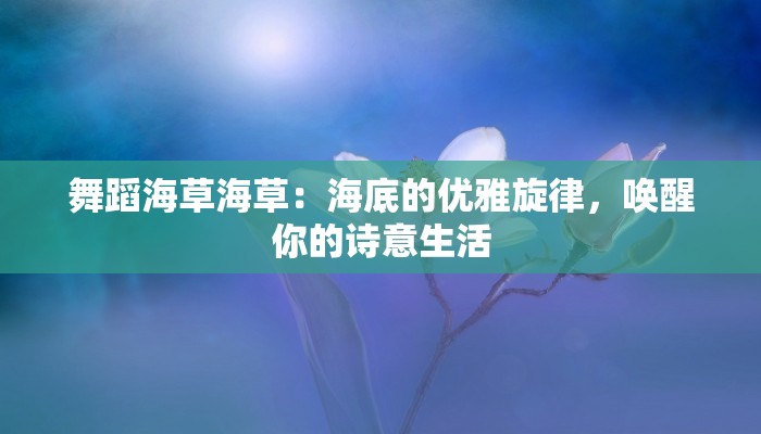 舞蹈海草海草：海底的优雅旋律，唤醒你的诗意生活