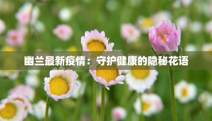 幽兰最新疫情：守护健康的隐秘花语