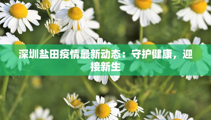 大板城最新疫情:守护健康,拥抱新生 大板城最新疫情:守护健康,拥抱新生
