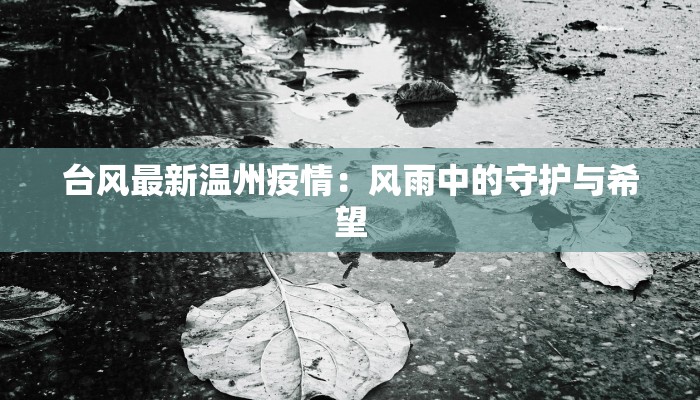 台风最新温州疫情：风雨中的守护与希望