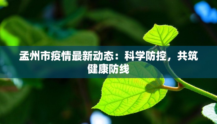 孟州市疫情最新动态：科学防控，共筑健康防线