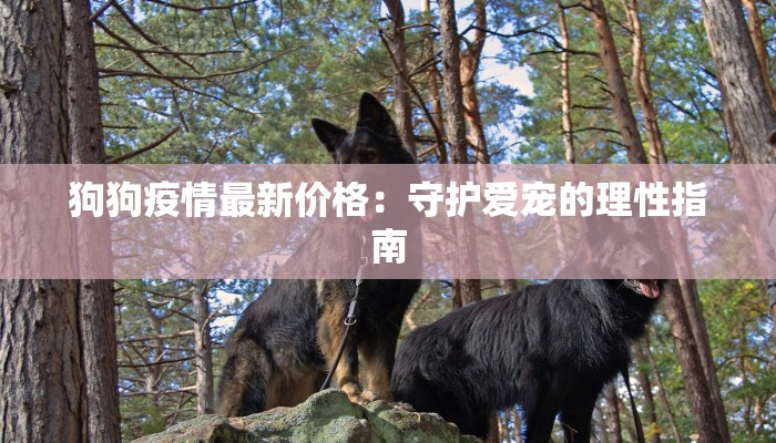 江苏丰义疫情最新情况