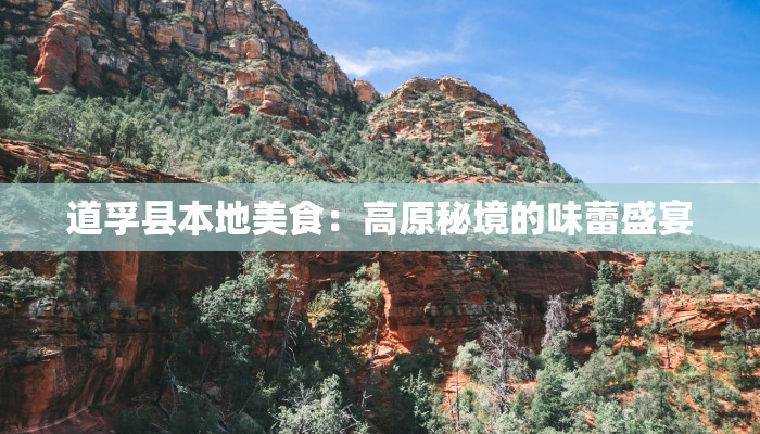 道孚县本地美食:高原秘境的味蕾盛宴 道孚县本地美食:高原秘境的味蕾盛宴