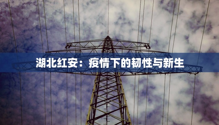 北畅村最新疫情：科学防控，共筑健康屏障