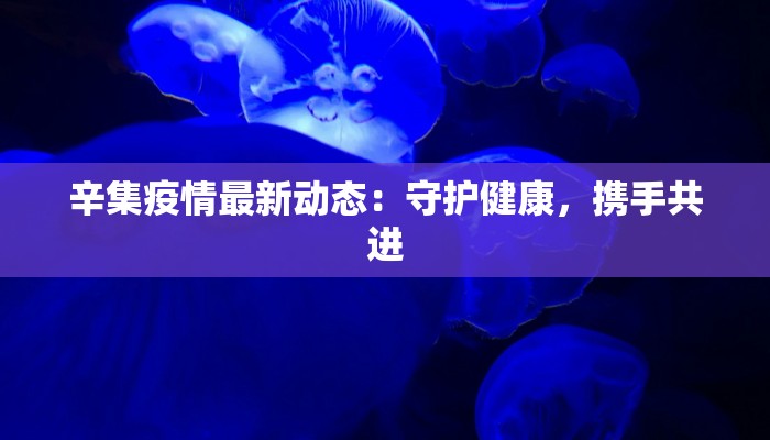 辛集疫情最新动态：守护健康，携手共进