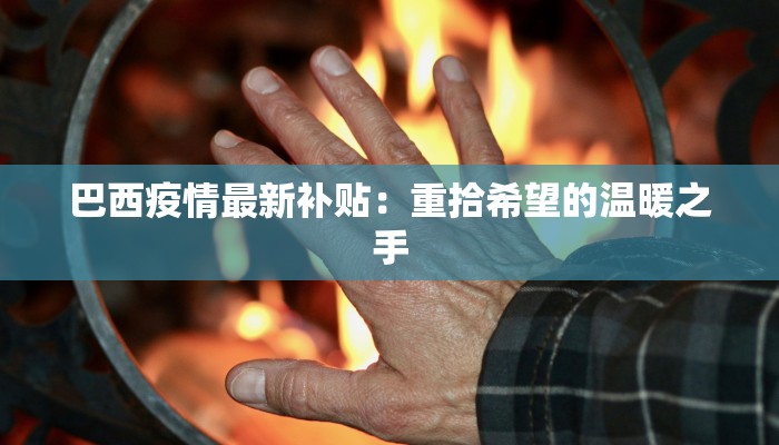 巴西疫情最新补贴：重拾希望的温暖之手