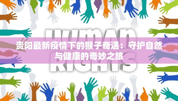 个旧最新疫情防控：守护家园，科学同行