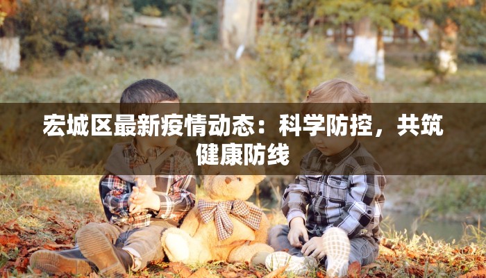 宏城区最新疫情动态：科学防控，共筑健康防线