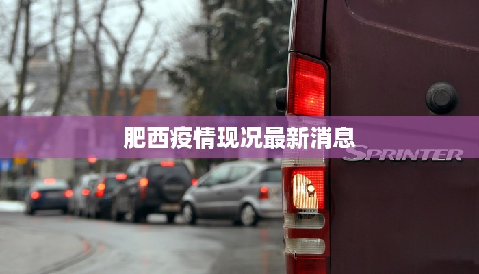 肥西疫情现况最新消息