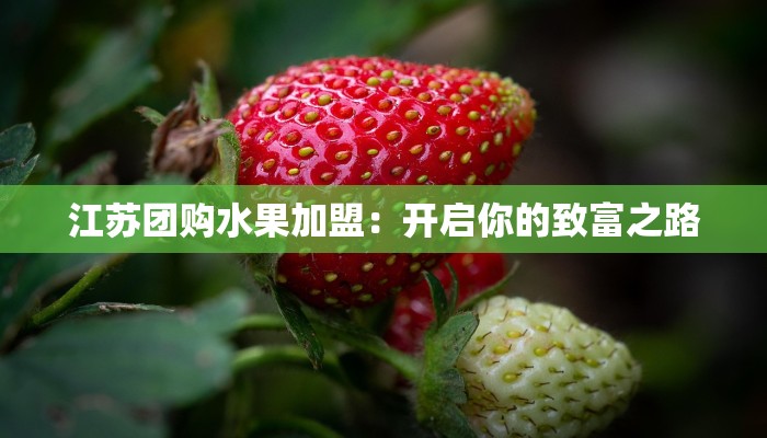 江苏团购水果加盟：开启你的致富之路