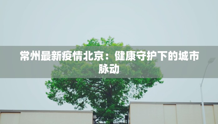 沌口疫情公告最新