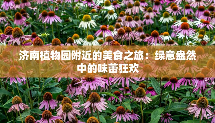 济南植物园附近的美食之旅:绿意盎然中的味蕾狂欢 济南植物园附近的美食之旅:绿意盎然中的味蕾狂欢