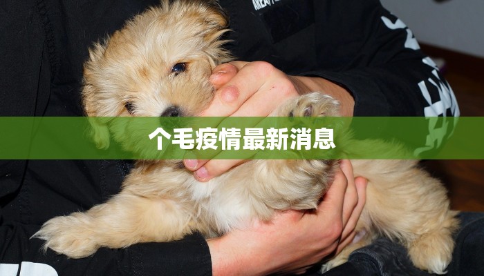 水南疫情状况最新消息