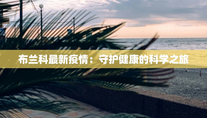 布兰科最新疫情：守护健康的科学之旅