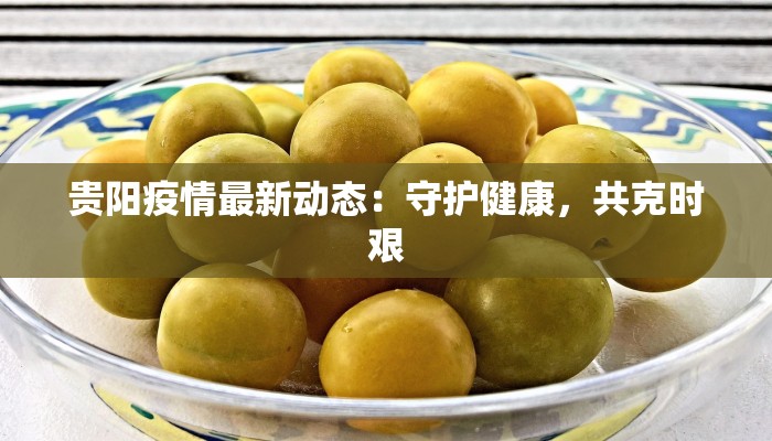 贵阳疫情最新动态：守护健康，共克时艰