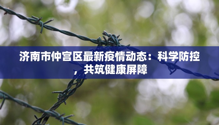 济南市仲宫区最新疫情动态：科学防控，共筑健康屏障