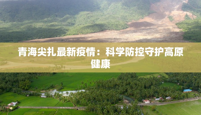 青海尖扎最新疫情：科学防控守护高原健康