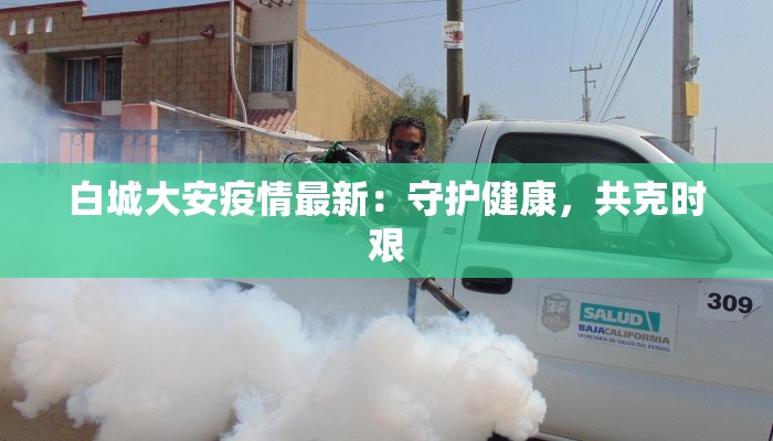 白城大安疫情最新：守护健康，共克时艰