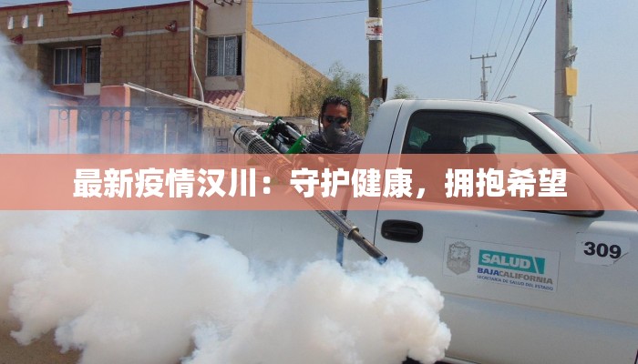 最新疫情汉川：守护健康，拥抱希望