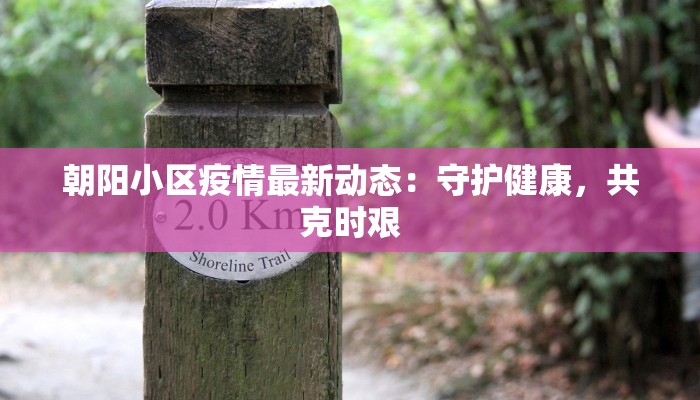 朝阳小区疫情最新动态：守护健康，共克时艰