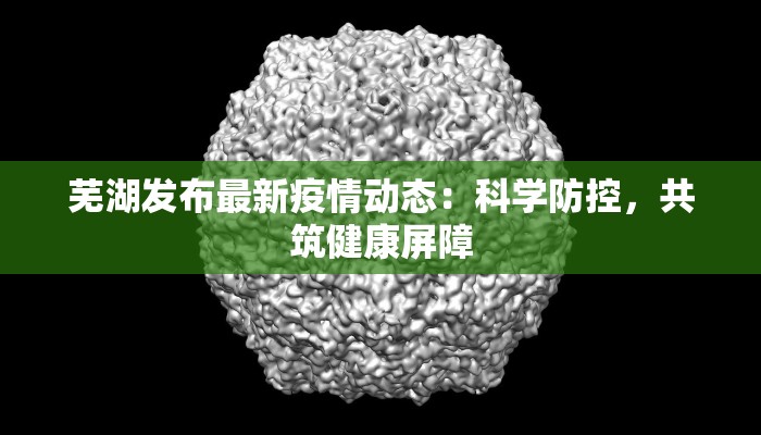 泉州锂城疫情最新消息