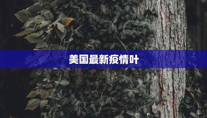 美国最新疫情叶