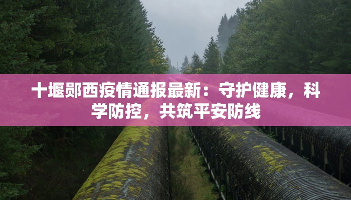疫情最新辽宁锦州：守护健康，拥抱美好生活