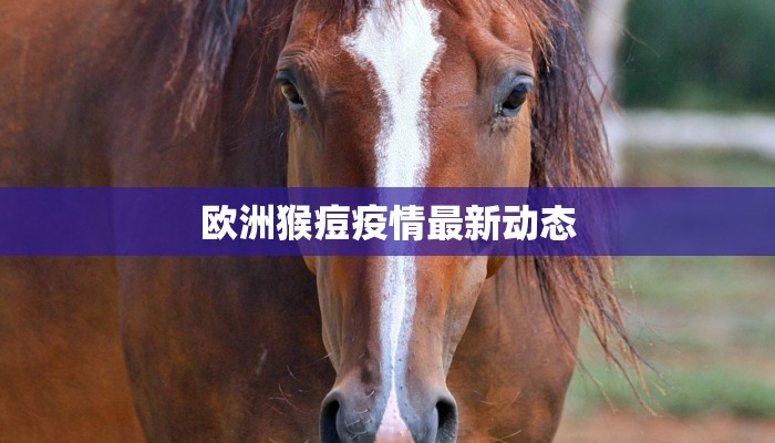 昌宁疫情最新报告