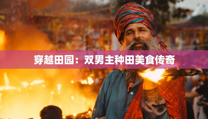 穿越田园：双男主种田美食传奇