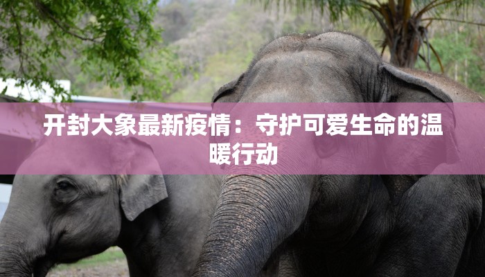 开封大象最新疫情：守护可爱生命的温暖行动