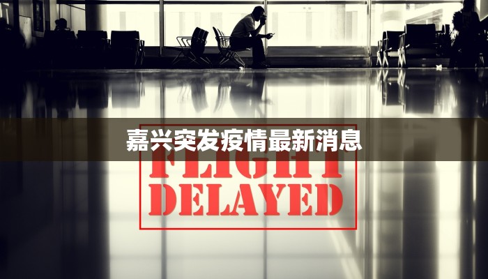 甘南青海疫情最新消息：安心出行，守护健康之旅