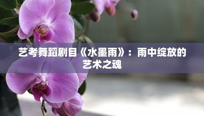 艺考舞蹈剧目《水墨雨》：雨中绽放的艺术之魂