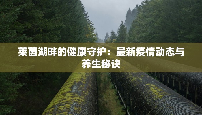 莱茵湖畔的健康守护：最新疫情动态与养生秘诀