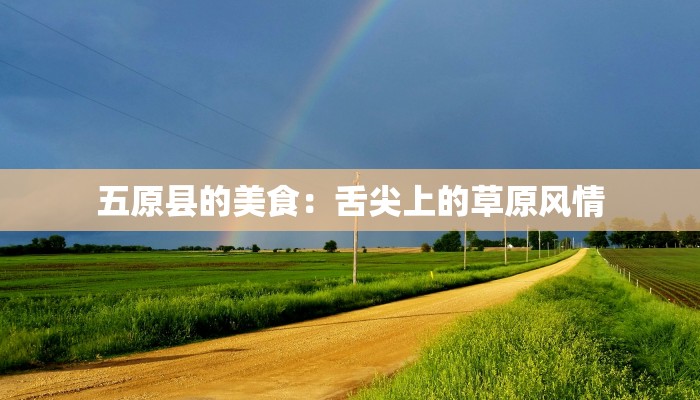 五原县的美食：舌尖上的草原风情