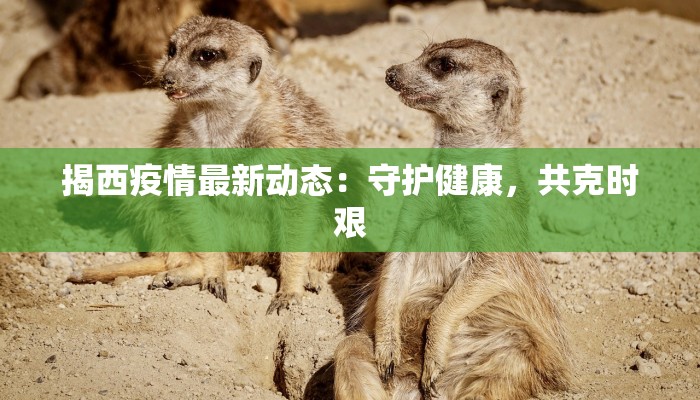 揭西疫情最新动态：守护健康，共克时艰