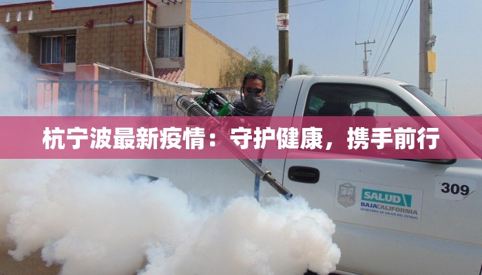 海峡西岸疫情情况最新