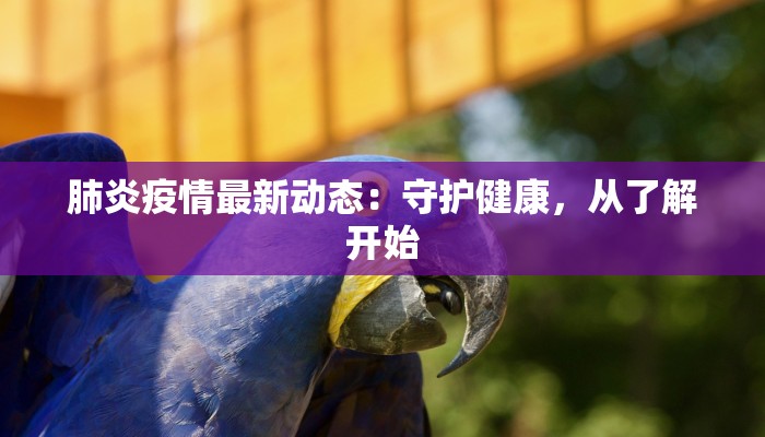 舞蹈里番手腕：柔美旋律中的秘密艺术